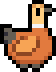 Duck ruddy shelduck drake.png