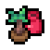 Pomegranate sapling.png