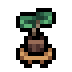 Cottage potted fig v2.png