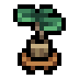 Cottage potted fig v1.png