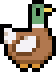 Duck mallard drake.png