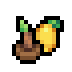 Lemon sapling.png