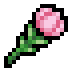 Tulip.png