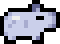 Capybara silver pup.png