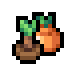 Orange sapling.png