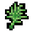 Dill.png