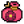 Cosmos seed.png