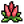 Celosia.png