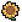 Sunflower.png