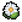 Daisy.png