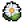 Daisy.png