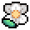 Snowdrop anemone.png