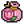 Tulip seed.png