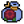 Chrysanthemum seed.png